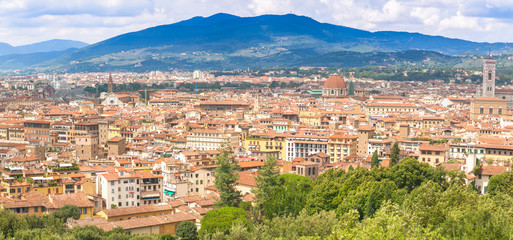 Fototapeta na wymiar The panorama of Florence 