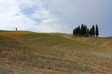 Typical landscape in Tuscany, farmhouse on the hills of Val d'Or