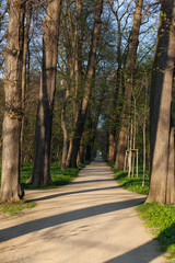 Obraz premium Brühlpark Quedlinburg