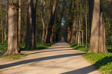 Brühlpark Quedlinburg