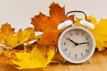 Maple leaves and alarm clock. Autumn time change.