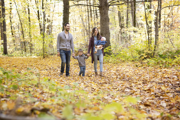 Family of four enjoying golden leaves in autumn park