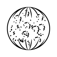 moon climate night isolated icon vector illustration design