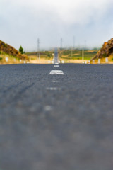 Long narrow road scenery