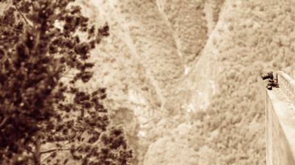 Camera in mountains, photography in wildlife