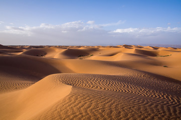 Fototapeta na wymiar Peaceful dunes 