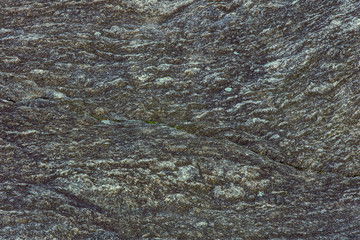 Surface of a rock background