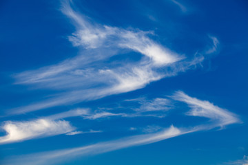 Naklejka na ściany i meble blue sky with cloud. Nice white cloud on the sky.