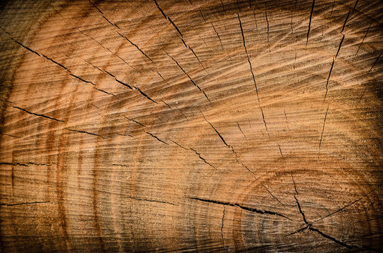 Holzschnitt