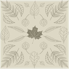 Background with leaf elements