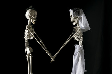 Skeleton bride and groom