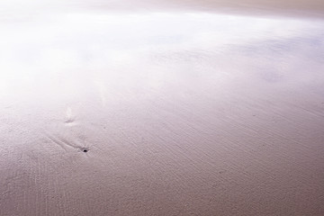 砂浜