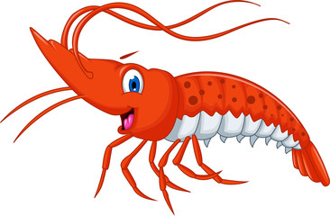 Cute shrimp cartoon