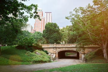 Fototapeta na wymiar central park bridge