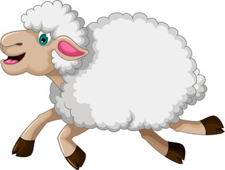 Fototapeta premium funny sheep cartoon