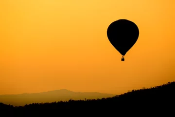 Foto op Canvas Heteluchtballon © voraorn