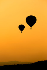 Hot air balloon