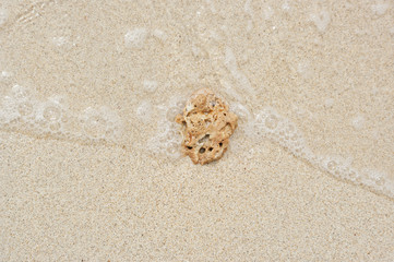 Fototapeta na wymiar small stone on the beach and small wave