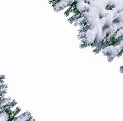 Fototapeta premium forest in the frost. Winter landscape. Snow covered trees.