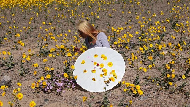 Asian Girl in Field of Flower in Death Valley