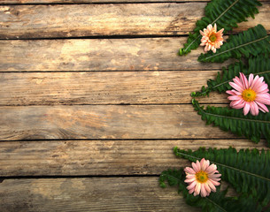 Bright colorful flowers on wooden texture.