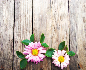 Obraz premium Bright colorful flowers on wooden texture.