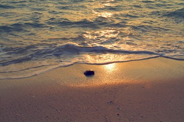 Stone on sand beach during sunset, Vintage tone