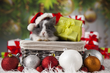 Fototapeta premium Little santa bunny on Christmas background