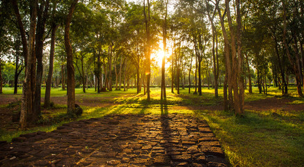 summer sunset and red stone floor in the forest , Thailand