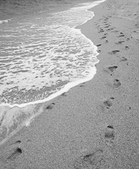 Waves on sea shore