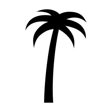 Palm tree or coconut tree flat icon for vacation apps and websites