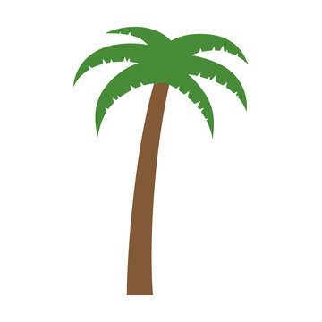 Palm tree or coconut tree flat color icon for vacation apps and websites