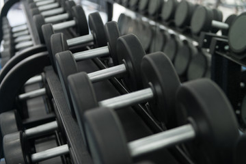 Plakat Rows Of Dumbbells In The Gym