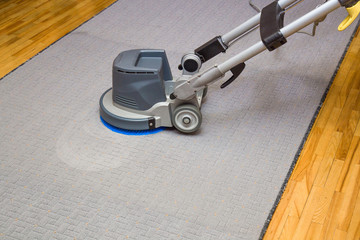 Long carpet chemical cleaning with professionally extraction method. Early spring cleaning or regular clean up.