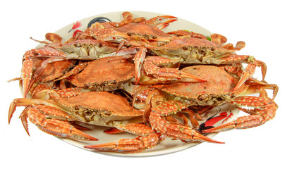 Steamed Crab isolated on white background