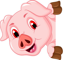 funny pig cartoon holding blank sign - 125075380