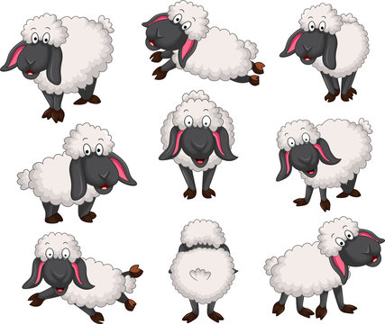 Nice set of vector cartoon sheep for your desig