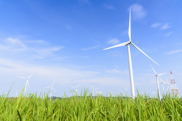 The wind turbine on the rice farm with the sky and cloud