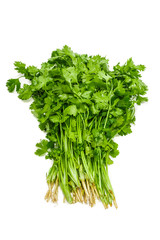 Bundle of coriander