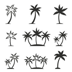 Fototapeta na wymiar Palm tree icon set.