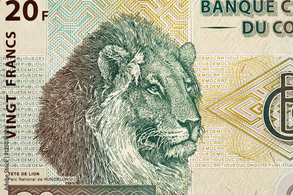 Wall mural lion's head depicted on africa currency notes