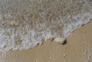 Top down view of wave over sandy beach.