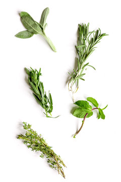 mint, sage, rosemary, thyme - tufts of herbs white background