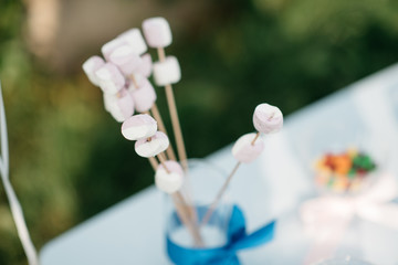 fresh, delicious marshmallow on a stick