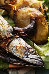 Baked fish and potatoes on plate closeup