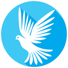 white dove flat icon