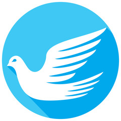 white dove flat icon