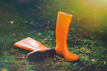 Orange rubber boots in the forest