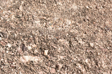 Here is an texture on the surface of the Conglomerate Rock.
