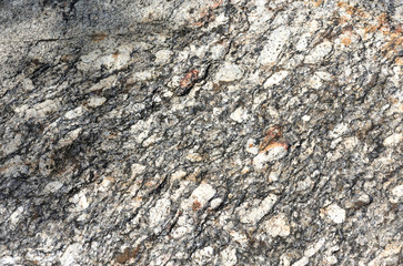 Here is an texture on the surface of the Gneiss Rock.